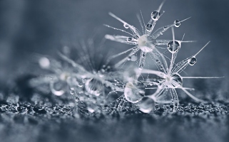 Perlentaucher, Eiskristalle und andere Einbildungen, während man frierend im Regen sitzt.