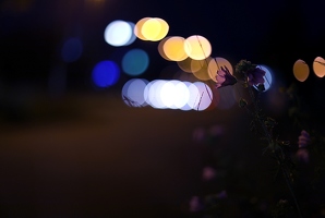 Natürlich mache ich auch mal Streetfotografie. Nachts, im Dunklen. Wenn nur Blumen statt Menschen auf dem Gehweg stehen.