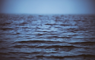 16 Tage bis Meer!  Der Bodensee zeigt sich von meinem Gequietsche betont unbeeindruckt.