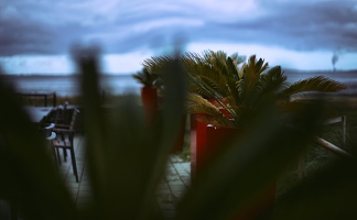 Das Café direkt am Strand gab sich wirklich Mühe mit der Urlaubsstimmung unter Palmen, naja, oder zumindest, um kurzzeitig windgeschützt das Objektiv wechseln zu können.