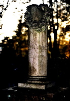Friedhof Konstanz