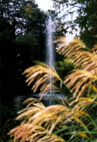 Springbrunnen auf der Insel Mainau