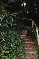 Treppe im Schlossgarten Schönau
