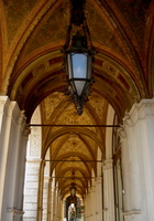Rathaus Wien