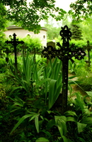 Friedhof der Namenlosen in Wien