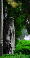 Verschleierte Frau im Sturm auf dem Zentralfriedhof Wien