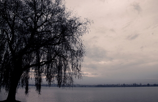 Winterträume am Bodensee