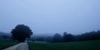 Nebelweg
