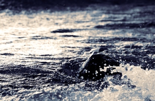 Manchmal muss man gar keine Steine ins Wasser werfen, um seltsame Wellenformen zu sehen. 