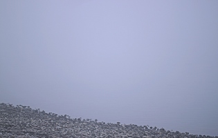 Den Bodensee hab ich schon seit Tagen nicht gesehen, ob es so viel Nebel hat, weil er komplett verdunstet ist? 