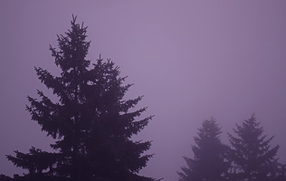 Sonntag, 7Uhr. Opa und ich rutschen aufgeregt im gefrorenen rosa Nebel rum, weil ein Alpenausflug geplant ist. 