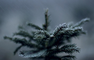 Regen und Frost haben meist nur wenige Sekunden zusammen, der Kamera machen solche Flüchtigkeiten aber nichts aus. 