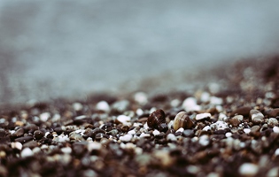 Ich sitze nicht einfach stundenlang faul am Strand, ich versuche Muscheln von Steinen zu unterscheiden.