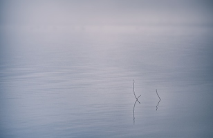 Vom Versuch, so lange am See sitzen zu bleiben, bis der Nebel auch die letzten Kleinigkeiten verdeckt.