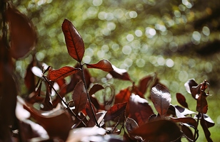 Übrige Herbstbäumchen und aktuelles Frühlingsgrün ergibt Spätsommergefühle beim Gartenliegen. Nur kälter.