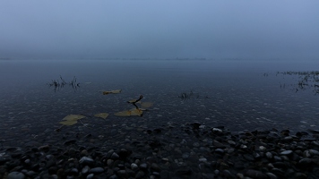 Ich lag frierend früh am Morgen auf den Ufersteinen, während der Bodensee mir versöhnlich das erste Herbstlaub anspülte.