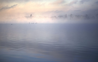 Die Schwäne meinen, wenn man sie sehen kann, ist es auch kein Nebel. Aber sie sind ja auch die Verhältnisse hier am Bodensee gewohnt.