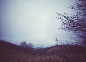 Ich stecke nicht im Dornbusch fest, ich fotografiere den Leuchtturm nur passend zu seinem Namen.