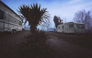 Vermutlich gilt diese eine Palme als mediterranes Flair. Jedenfalls, wenn Campingplätze ähnlich werben wie Immobilienmakler.