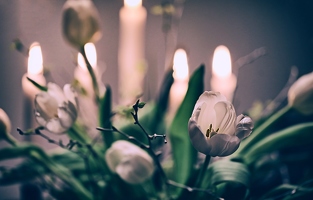 Der letzte teetrinkende Tulpenbeimverwelkenzuseher macht die Kerzen aus. Und schläft jetzt hoffentlich endlich.