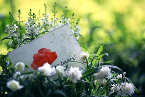 Wer eine handgemalte Blumenkarte von der liebsten @dieNail bekommt, sorgt natürlich dafür, dass sich die Blüte nicht alleine fühlt. Hab tausend Dank!