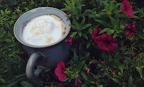 Nochmal Moin!