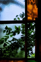 Das Fenster im Treppenhaus stand immer einen Spalt für den Innenhofbaum offen. Einladend kann Berlin eben perfekt.