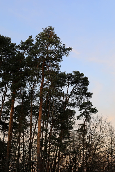 485A3016neuklein.jpg