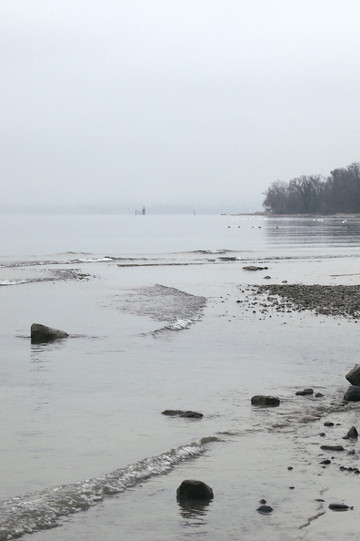 485A4273neuklein.jpg