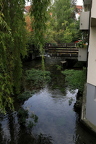 485A0671neuklein