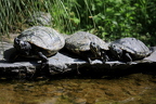485A8729neuklein