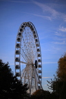 485A7777neuklein