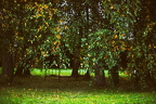 485A7986neuklein