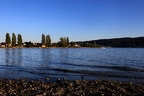 485A2429neuklein