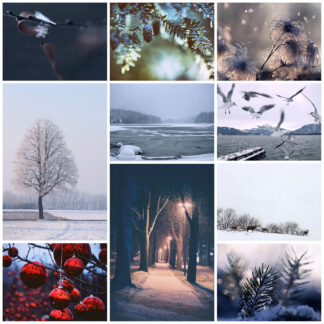 Winter Postkarten