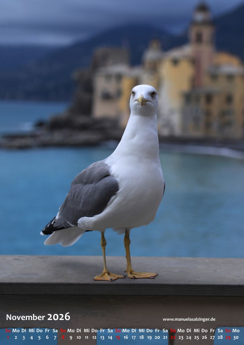 Wandkalender 2026 Hochformat – Bild 14