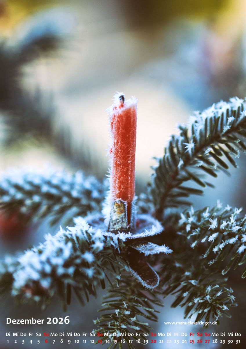 Wandkalender 2026 Hochformat – Bild 15