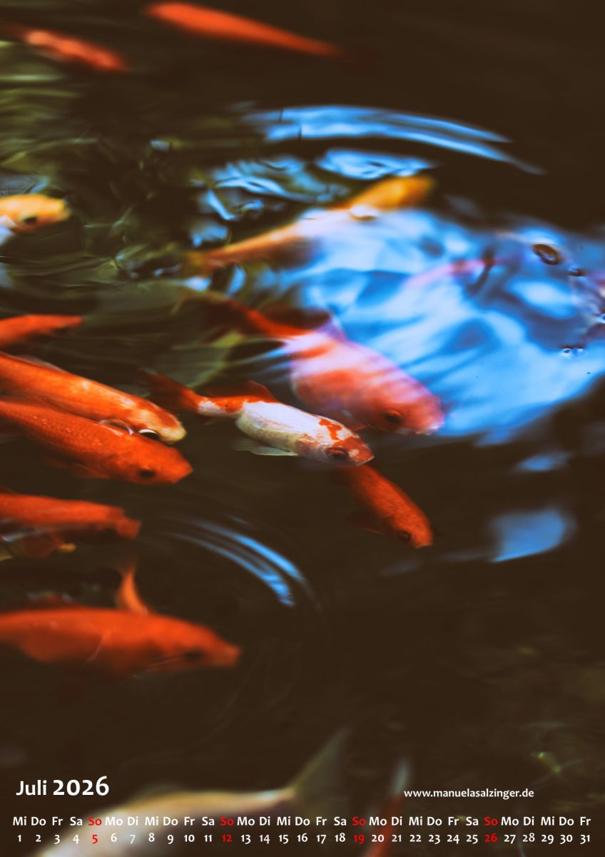 Wandkalender 2026 Hochformat – Bild 10