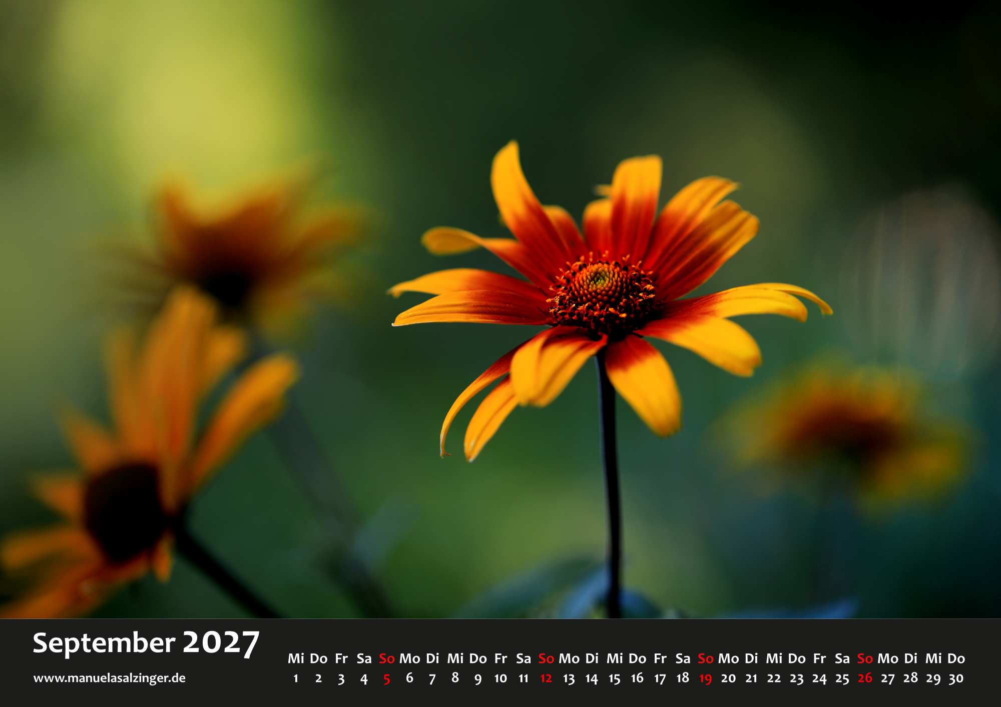 Wandkalender 2027 Querformat – Bild 12