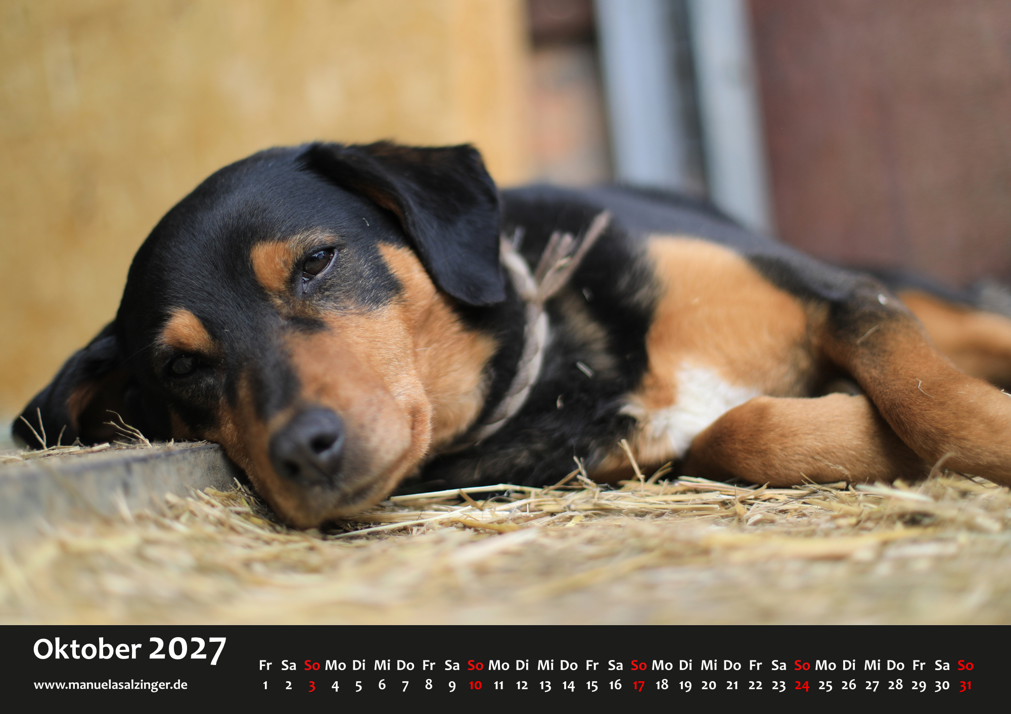 Wandkalender 2027 Querformat – Bild 13