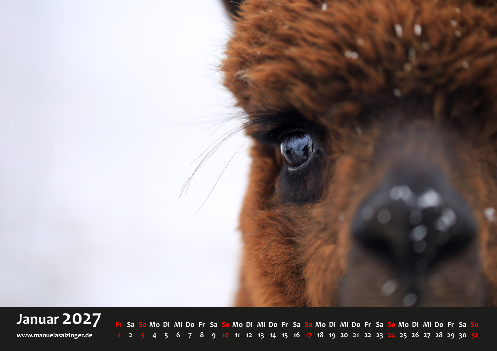 Wandkalender 2027 Querformat – Bild 4