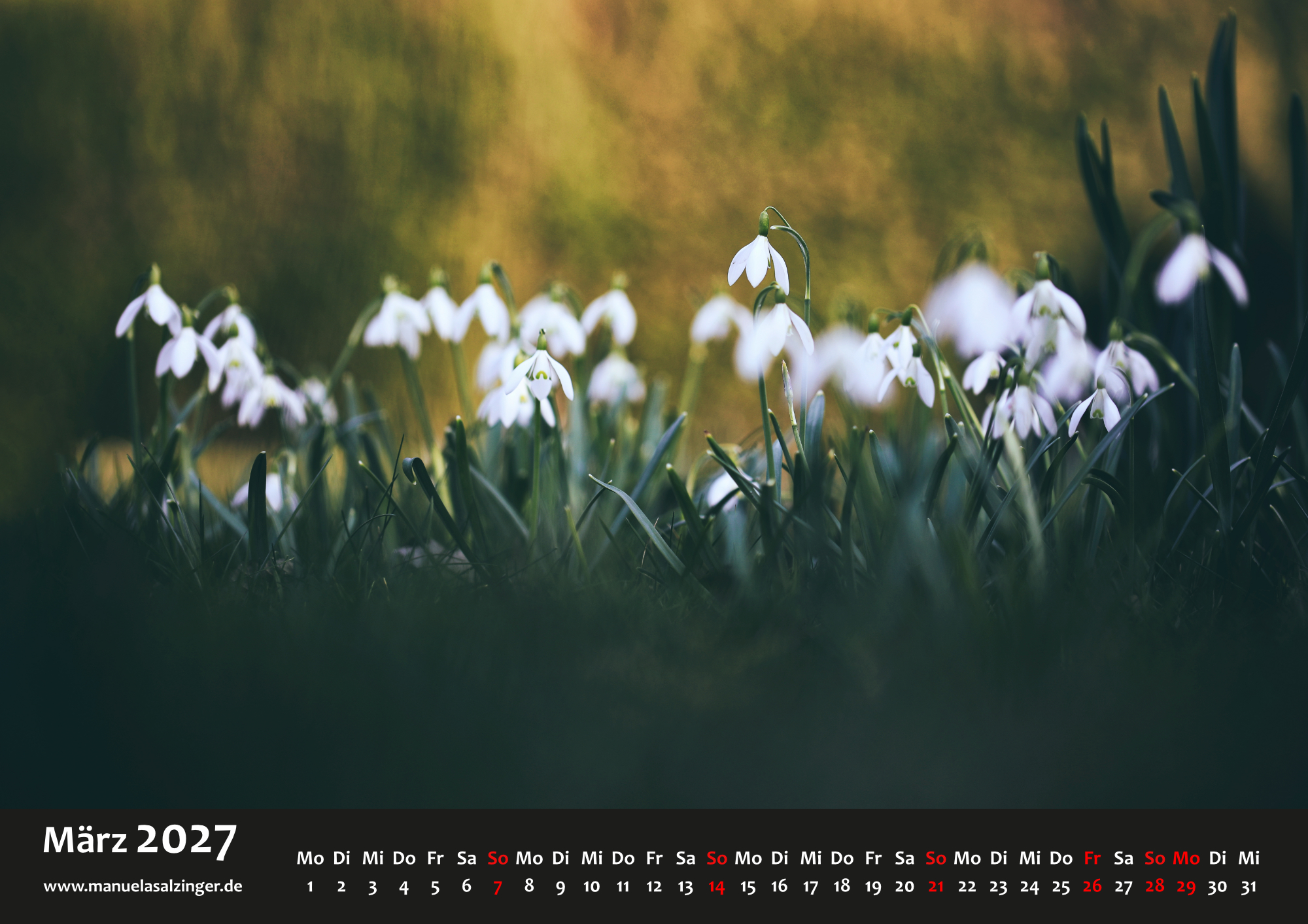Wandkalender 2027 Querformat – Bild 6