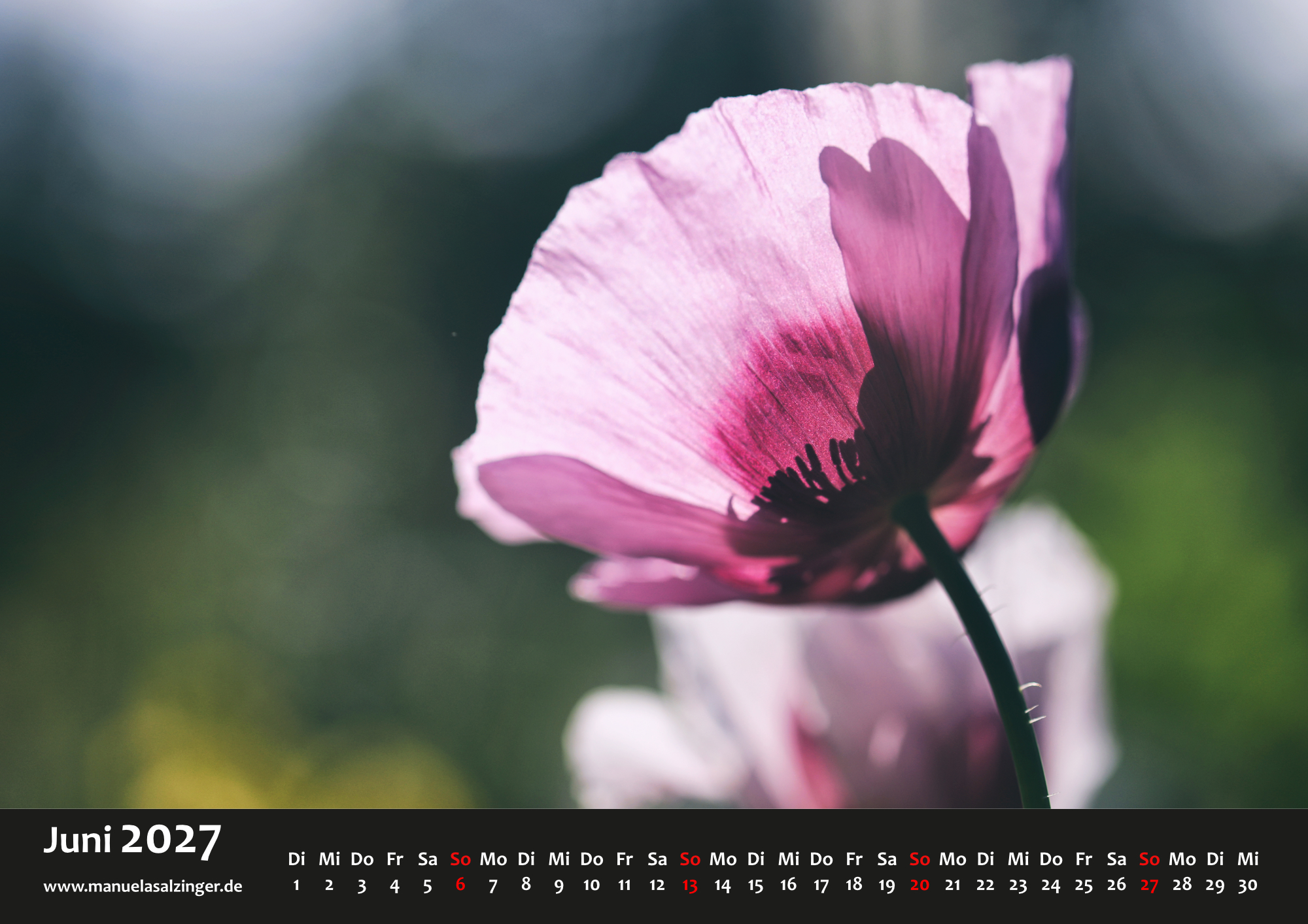 Wandkalender 2027 Querformat – Bild 9