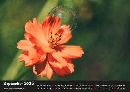 Wandkalender 2026 Querformat – Bild 12