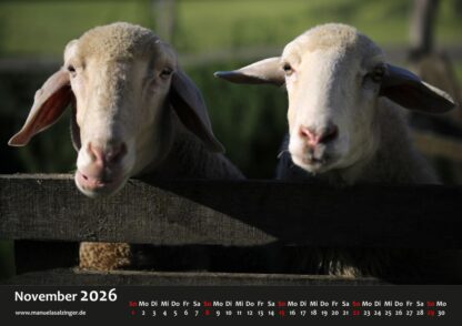 Wandkalender 2026 Querformat – Bild 14