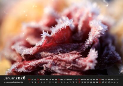 Wandkalender 2026 Querformat – Bild 4