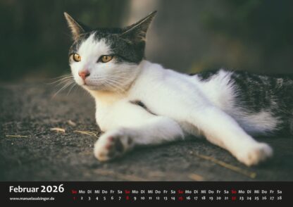 Wandkalender 2026 Querformat – Bild 5