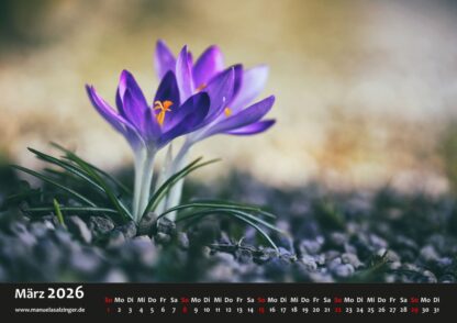 Wandkalender 2026 Querformat – Bild 6