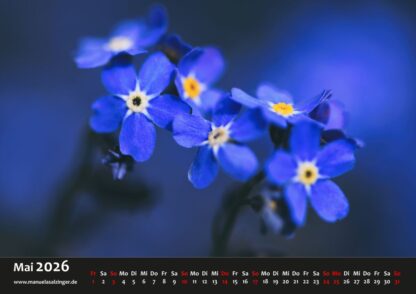 Wandkalender 2026 Querformat – Bild 8