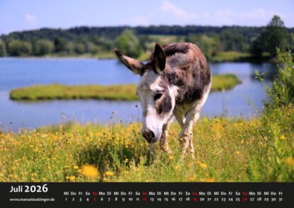 Wandkalender 2026 Querformat – Bild 10